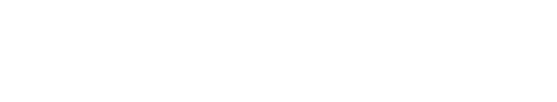 Kundenlogo Lang logo